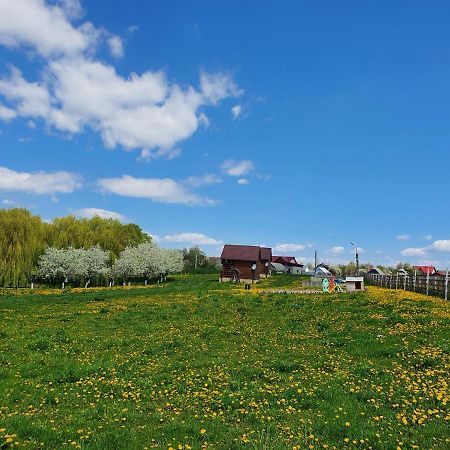 Popas Todiresti - La Iazul Cu 5 Casute Suceava Exterior photo