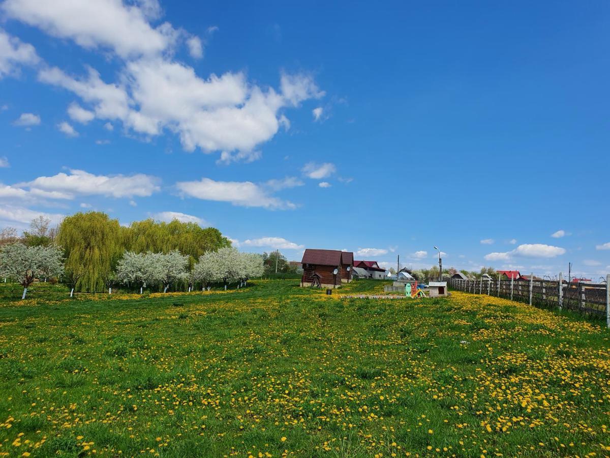 Popas Todiresti - La Iazul Cu 5 Casute Suceava Exterior photo