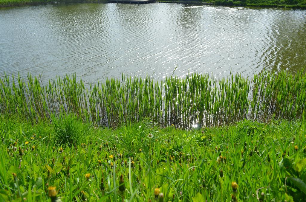 Popas Todiresti - La Iazul Cu 5 Casute Suceava Exterior photo